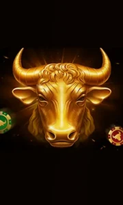 Bull's Club